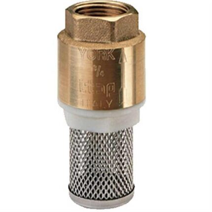 شیر فلکه یورک ایتالیا