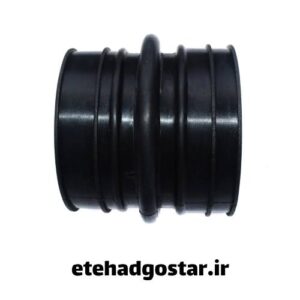 فروش مانشن کاروگیت با بهترین قیمت موجود در بازار 1404