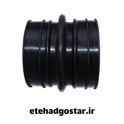 فروش مانشن کاروگیت با بهترین قیمت موجود در بازار 1404