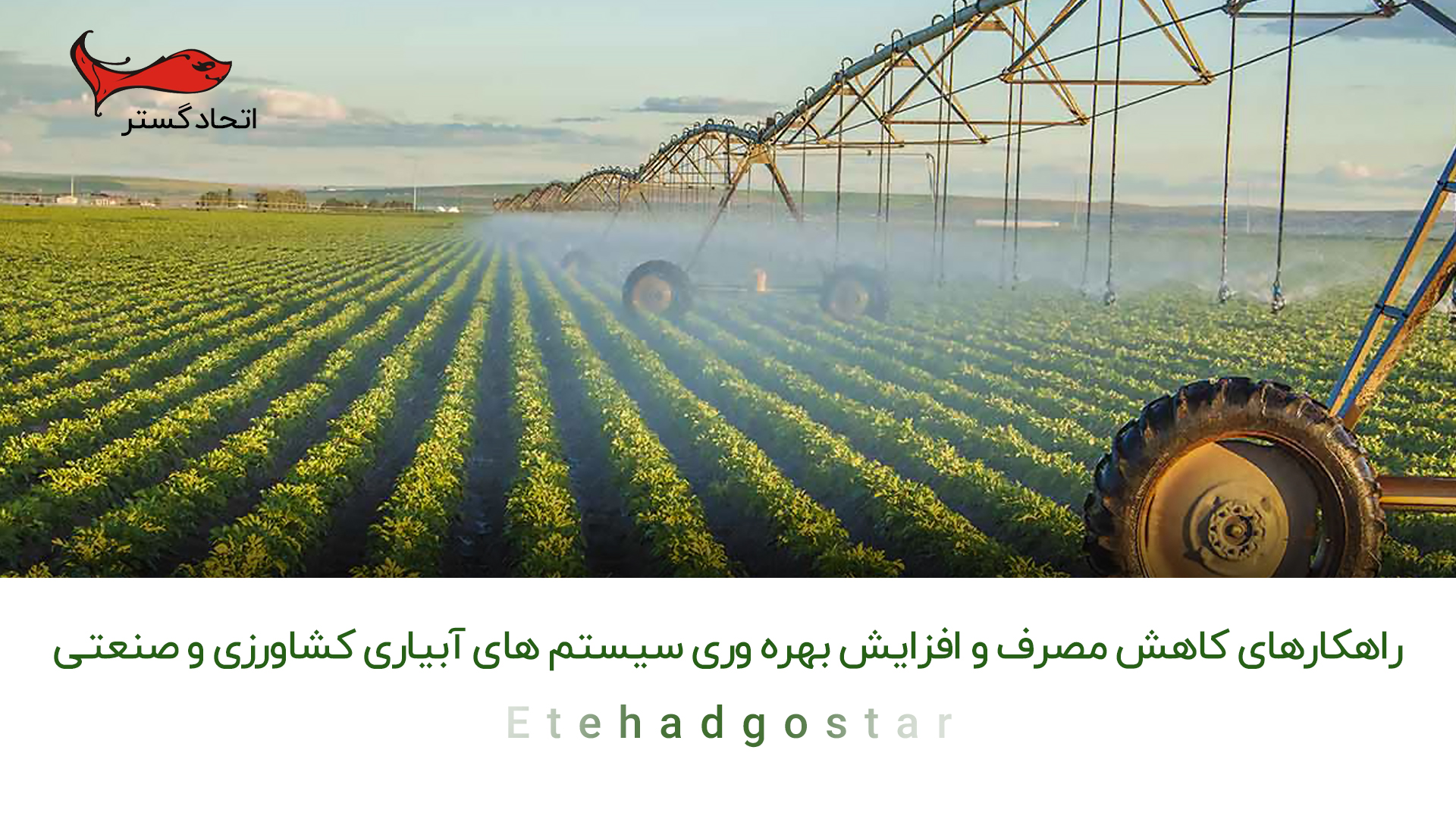چگونه میتوان در حوزه کشاورزی مصرف آب را کاهش داد و بهره وری سیستم های آبیاری را بیشتر کرد؟